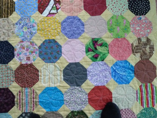 1 "Snowball" closeup