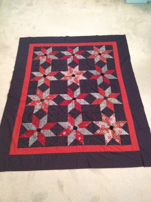 A dozen stars in blue and red in a dark "sky"